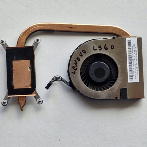 JPEG 20241008 155358 7001644090407007012 scaled