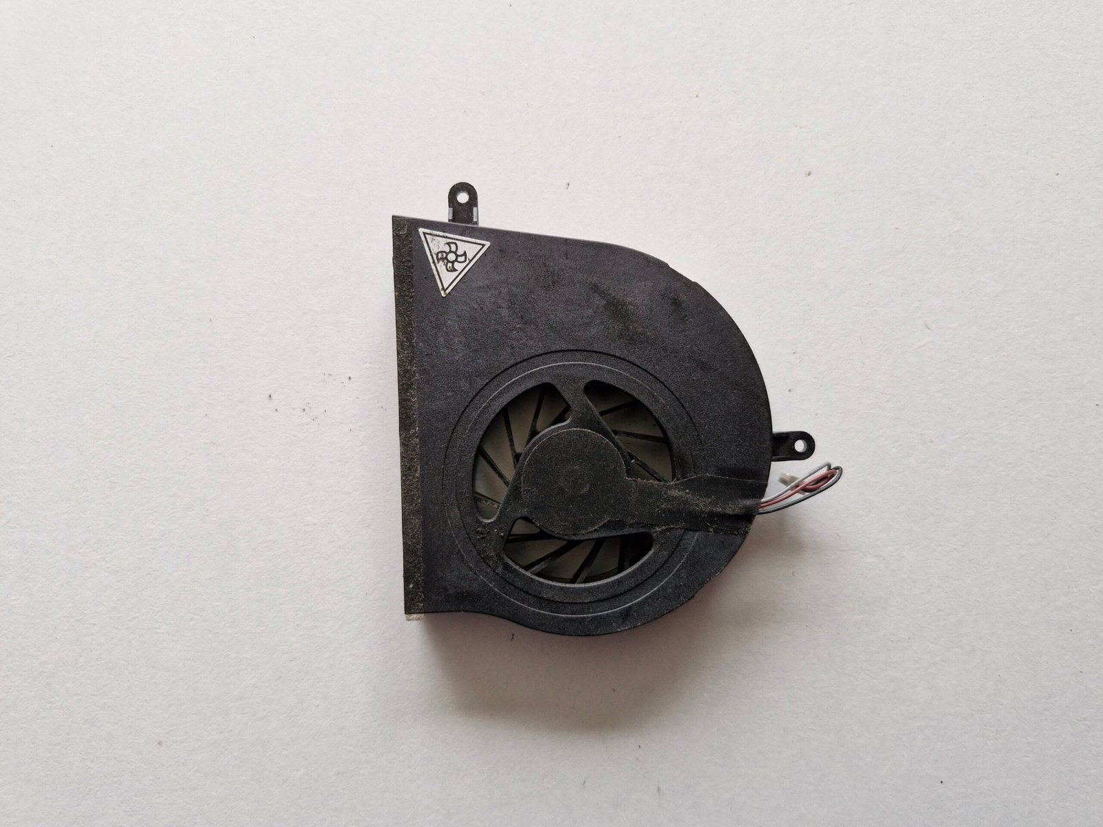 JPEG 20251022 154319 8089125524547766986 scaled