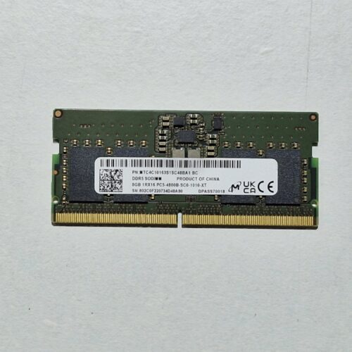 JPEG 20260120 013339 1847988330759949092 scaled